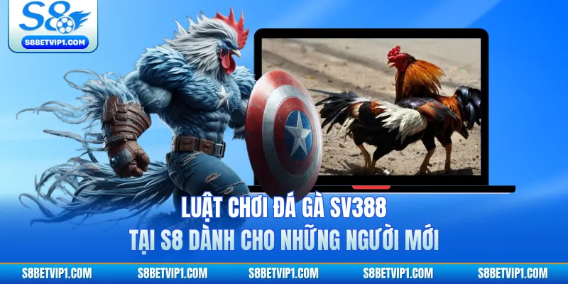 Luật Chơi Đá Gà SV388 Tại S8 Dành Cho Những Người Mới 1 Luật Chơi Đá Gà SV388 Tại S8 Dành Cho Những Người Mới